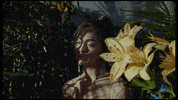 alex aiono flowers GIF by Sammi Sanchez