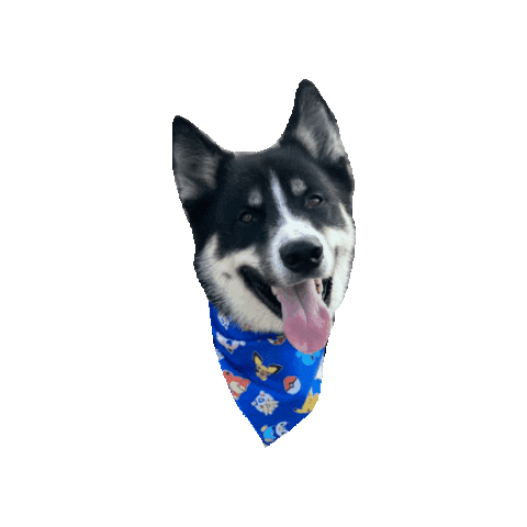 Dog Tongue Catch Them All Sticker by Geekster Pets