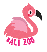 Pink Bird Sticker by Bali Zoo