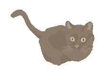 Black Cat Sticker