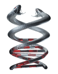 Snake Dna Sticker by 3TEETH