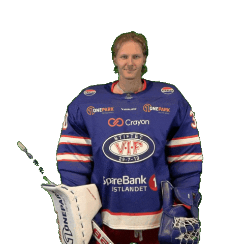 Keeper Joona Sticker by VIF Hockey