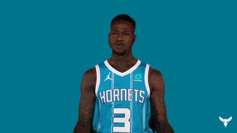 Terry Rozier What GIF by Charlotte Hornets
