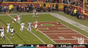 National Football League GIF by NFL