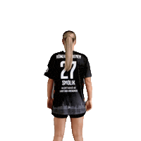 Hbf Frauenhandball Sticker by Roedertalbienen