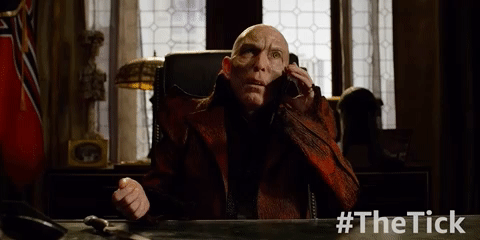 season 1 episode 10 GIF by The Tick