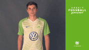 bundesliga wolves GIF by VfL Wolfsburg