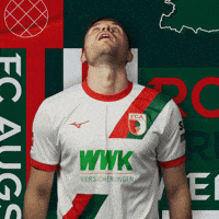 Football Bundesliga GIF by FC Augsburg 1907