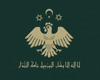 Dajaja GIF by Vitrin clinic