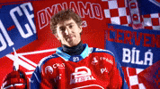 Hockeytown GIF by HC Dynamo Pardubice