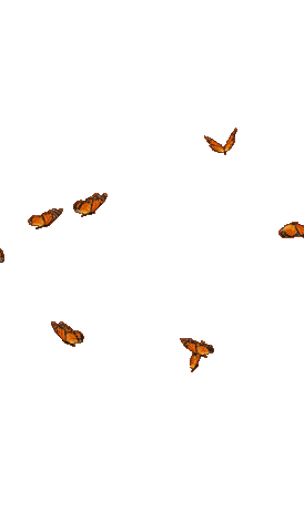 Butterfly Sticker