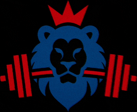 Logo Csv GIF by Weightlifting Holesov