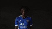 Lets Go Football GIF by San Jose Earthquakes