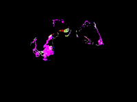 video art analog GIF by J. Robinson