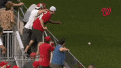 washington nationals GIF by MLB