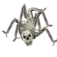 Cosarara Sticker