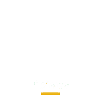 lionsclubs lions diabetes type 1 diabetes type 2 diabetes Sticker