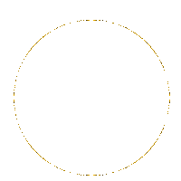 Vemcurtir Sticker by Festival de Jazz Manouche de Piracicaba