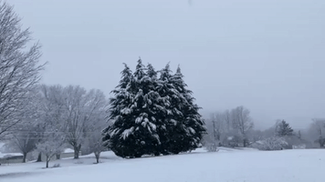 'Beautiful' Snowfall Accumulates in Northeast Tennessee