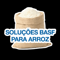 Arroz GIF by BASF Soluções para a Agricultura