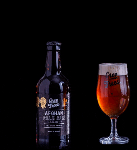 Pale Ale Beer GIF by Grey Trees