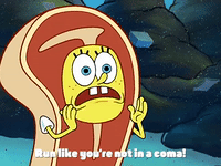 season 4 the lost mattress GIF by SpongeBob SquarePants