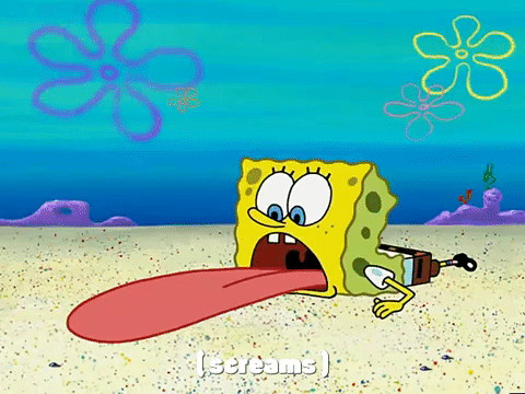 season 3 krabby land GIF by SpongeBob SquarePants