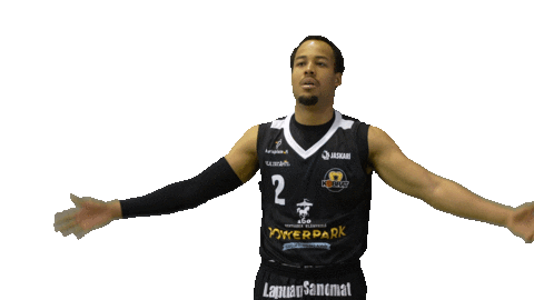 Basketball Hoops Sticker by Basket_fi