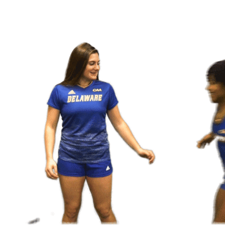 College Sports Love Sticker by Delaware Blue Hens
