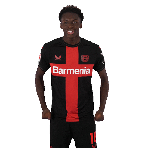 Happy Bayer 04 Sticker by Bayer 04 Leverkusen