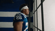 Football Sport GIF by Indianapolis Colts
