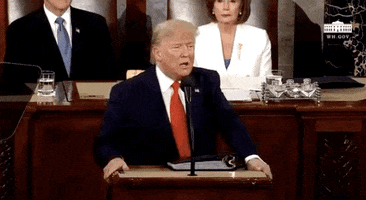 Donald Trump GIF by GIPHY News