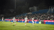 Football Soccer GIF by Sporting CP