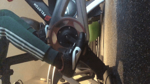 cezarbabin giphyupload GIF