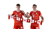 Happy Football Sticker by FC Bayern Munich
