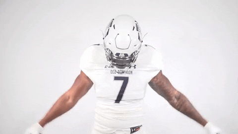 monarchreign GIF by sgrubbs