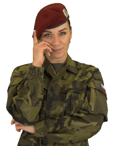 armadaceskerepubliky giphyupload thinking smart army Sticker