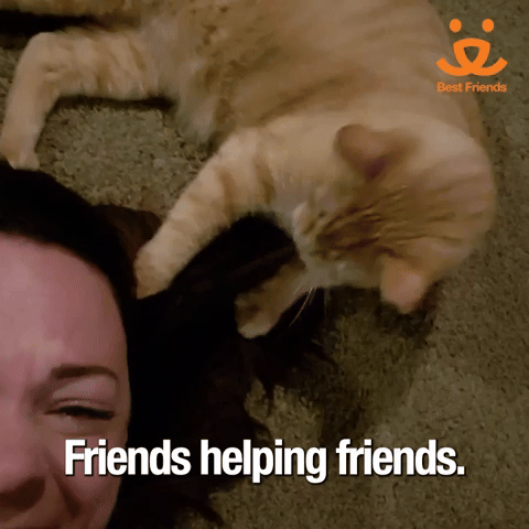 Friends Helping Friends