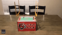 Ohio Mom Creates Bengals-Themed Valentine's Day Box for Son Ahead of Super Bowl
