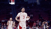 Celebrate March Madness GIF by Arkansas Razorbacks