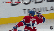 Happy National Hockey League GIF by NHL