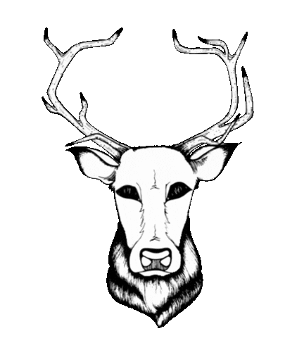 buckshardgoods winking bucks buck bucks hard goods Sticker