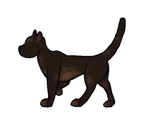 awongisright giphyupload cat dancing spooky Sticker
