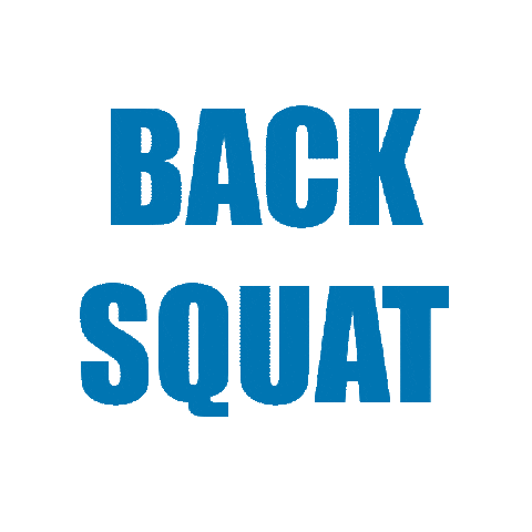 ImpavidoCF crossfit squat impavido impavido crossfit Sticker