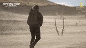 Bradley Cooper Adventure GIF by National Geographic Channel