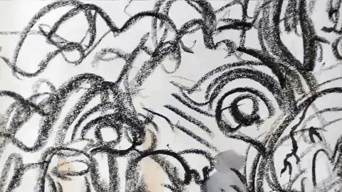 alex boya animation studio GIF by Alex Boya
