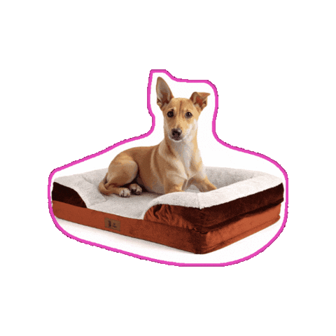 Tonny67 giphygifmaker hond honden hondenmand Sticker