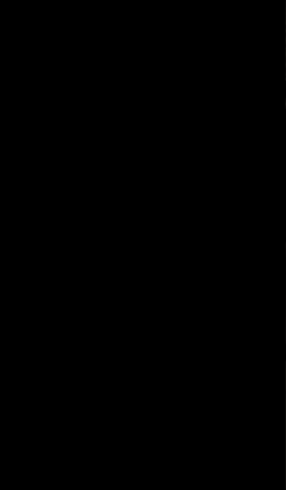 GIF animado