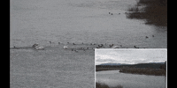 Water Education GIF by DIIMSA Stock