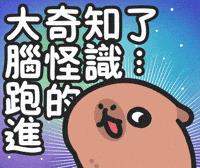 Capybara 蛤 GIF by sansanplanet